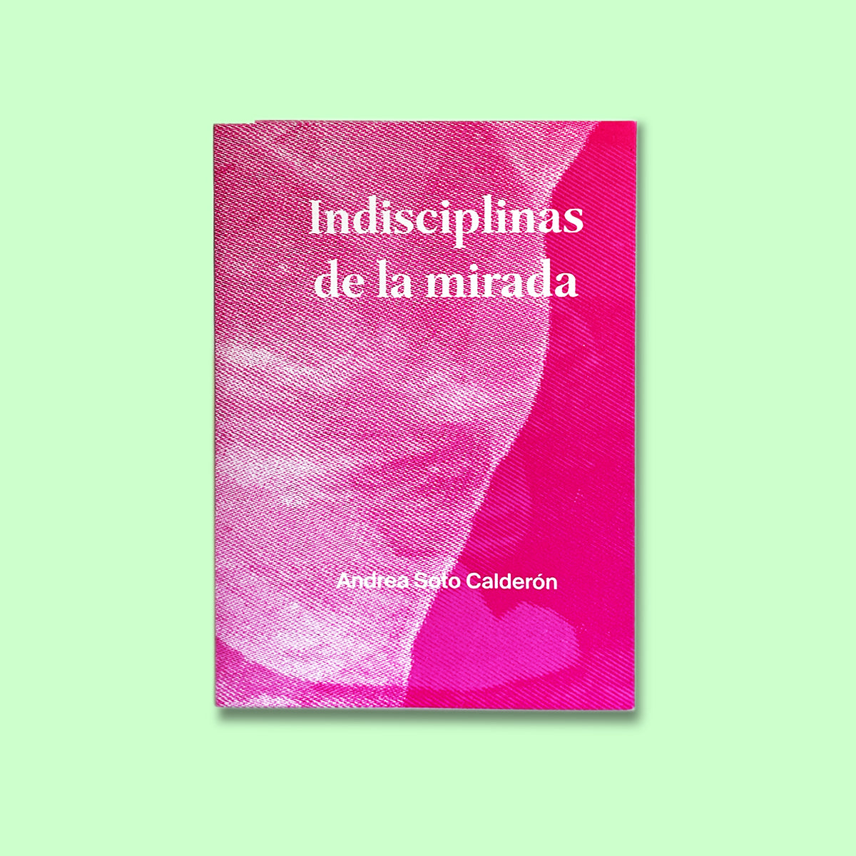Indisciplinas de la mirada
