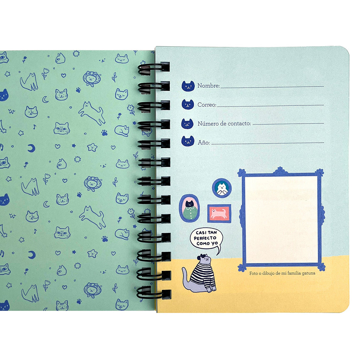 Mini Planner Gatos Catalina Cartagena