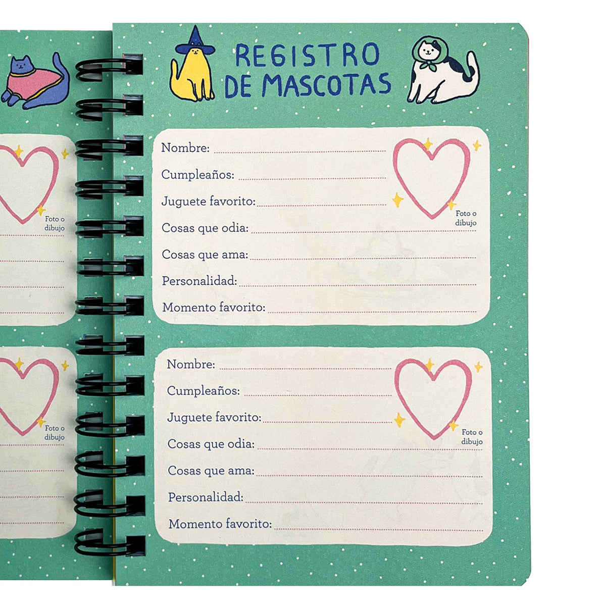 Mini Planner Gatos Catalina Cartagena