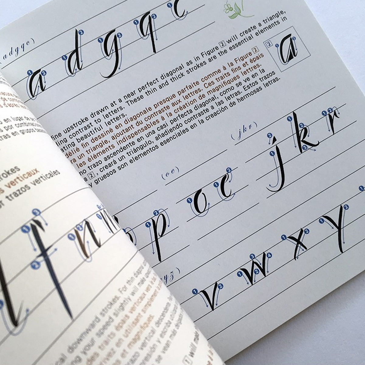 A To ZIG Calligraphy Brush Lettering