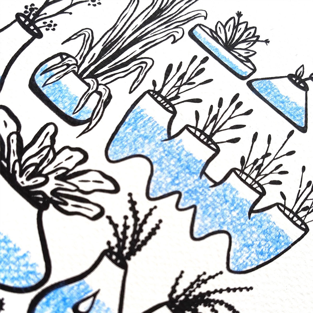 Se agua y tierra para tus plantas