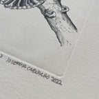 Anthracophyllum Discolor