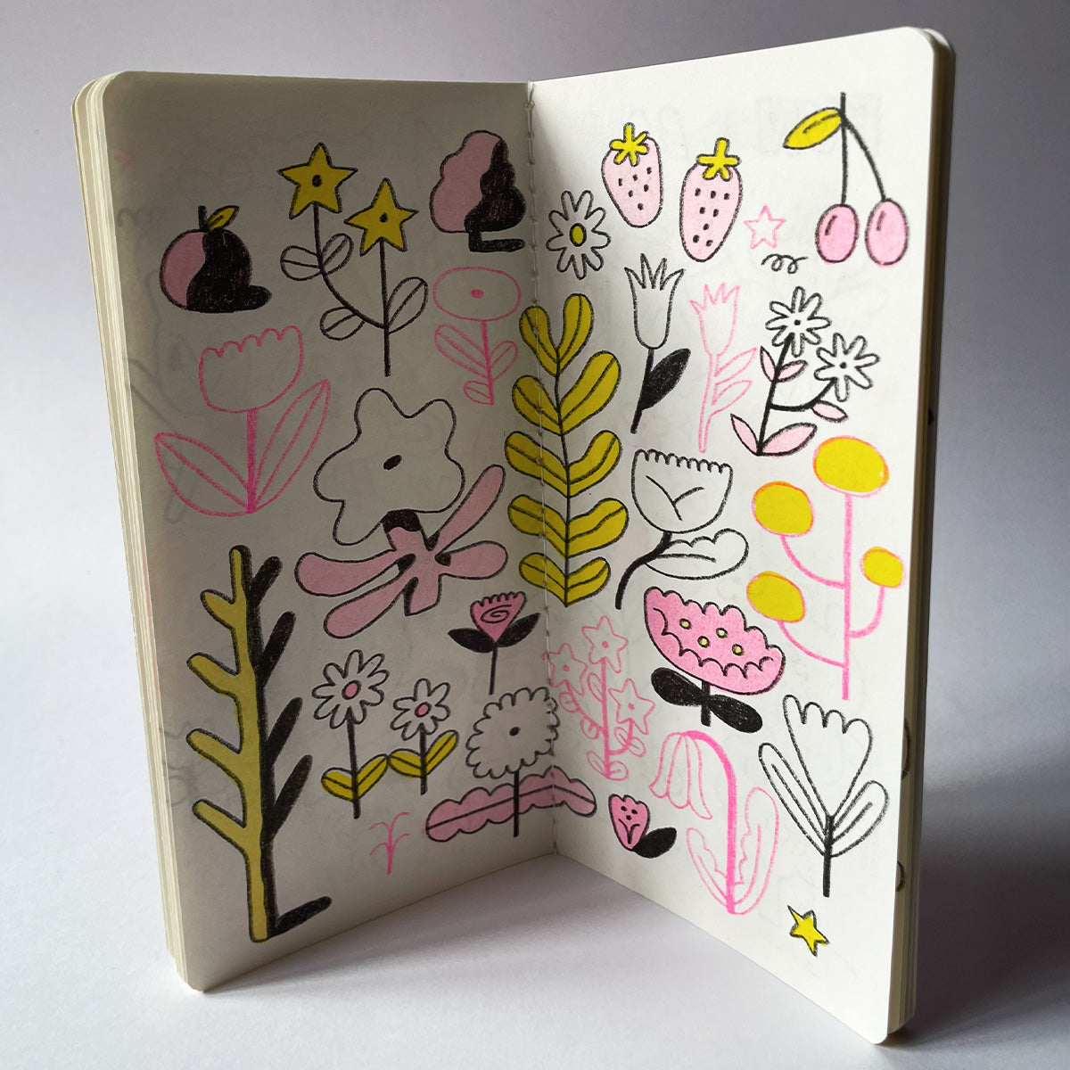 Zine Archivo la Florecida