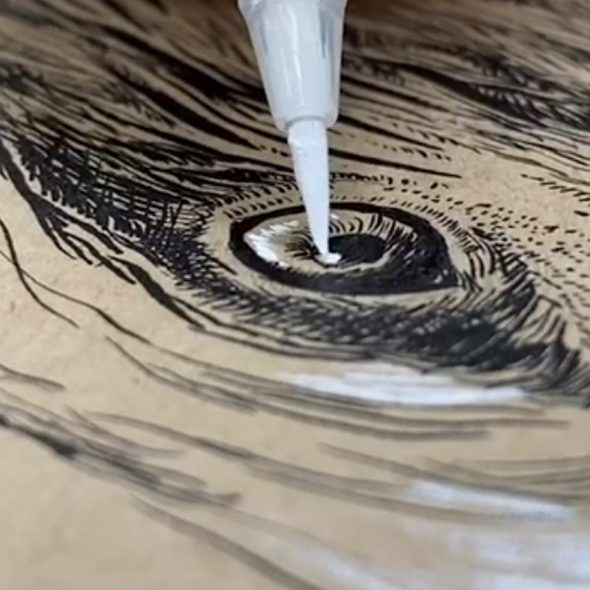 Brush Pen Cartoonist Blanco Ultra Fino