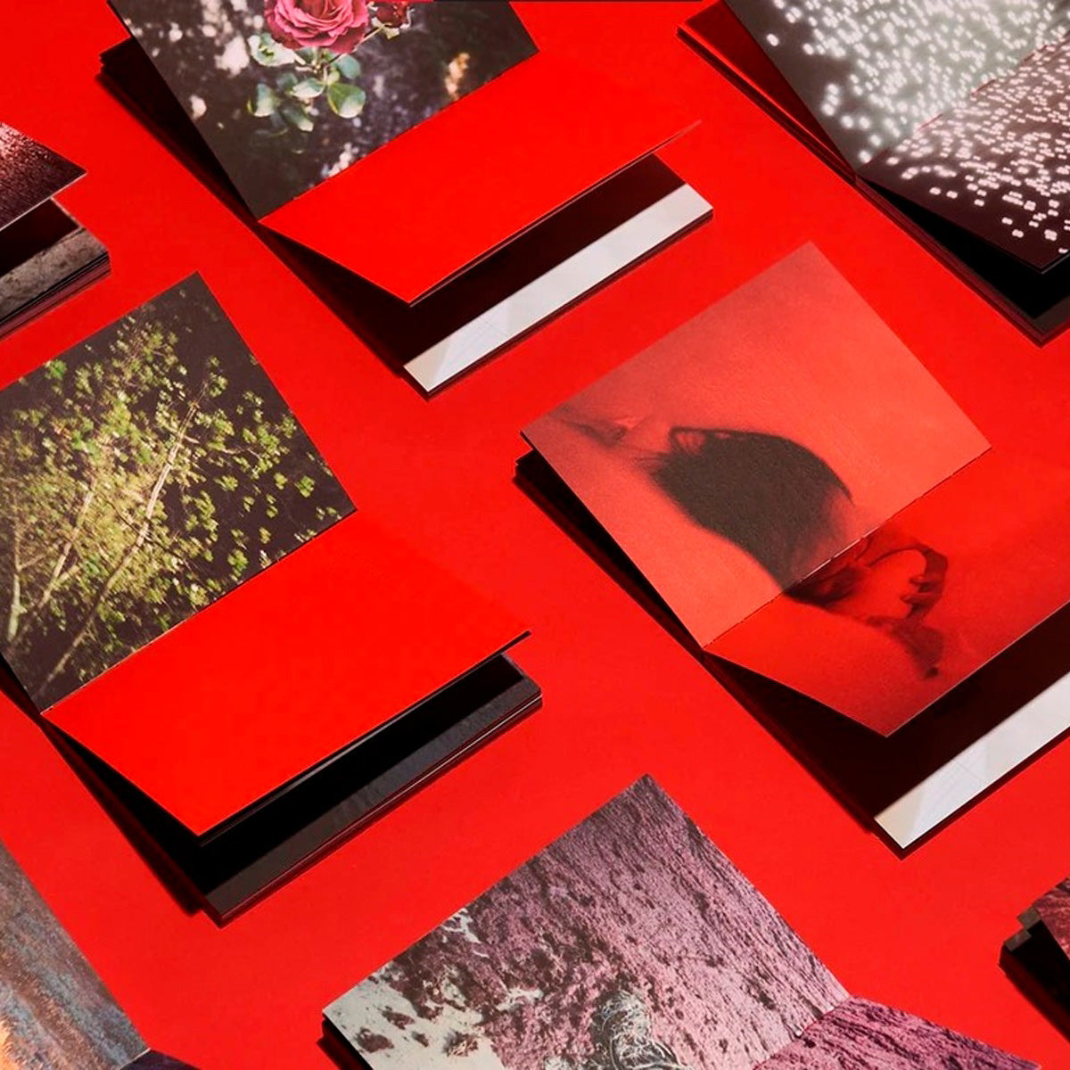 El cielo se a vuelto rojo