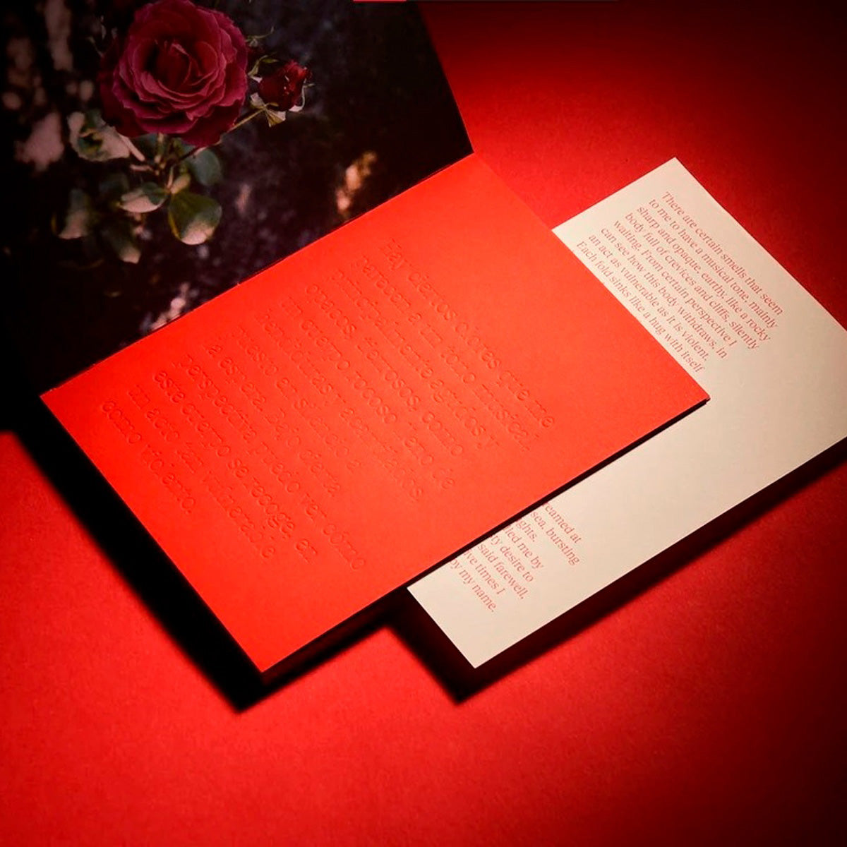 El cielo se a vuelto rojo