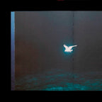 El Margen Del Horizonte