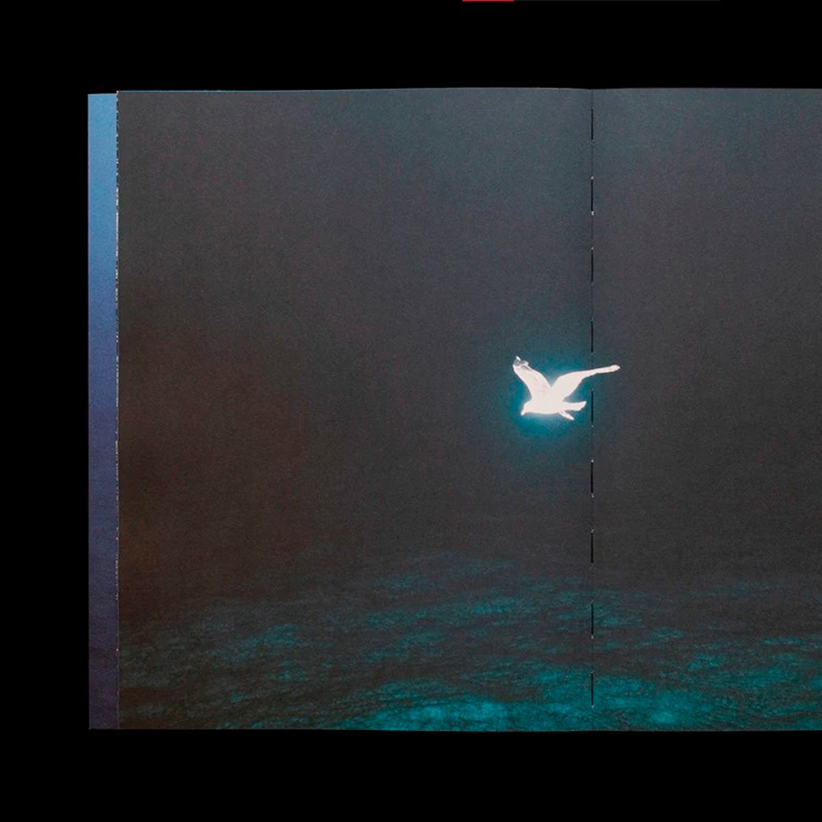 El Margen Del Horizonte