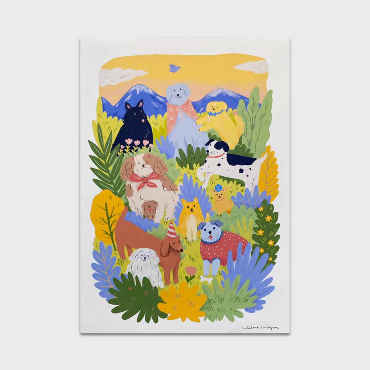 Fiesta de Cumpleaños Perruna