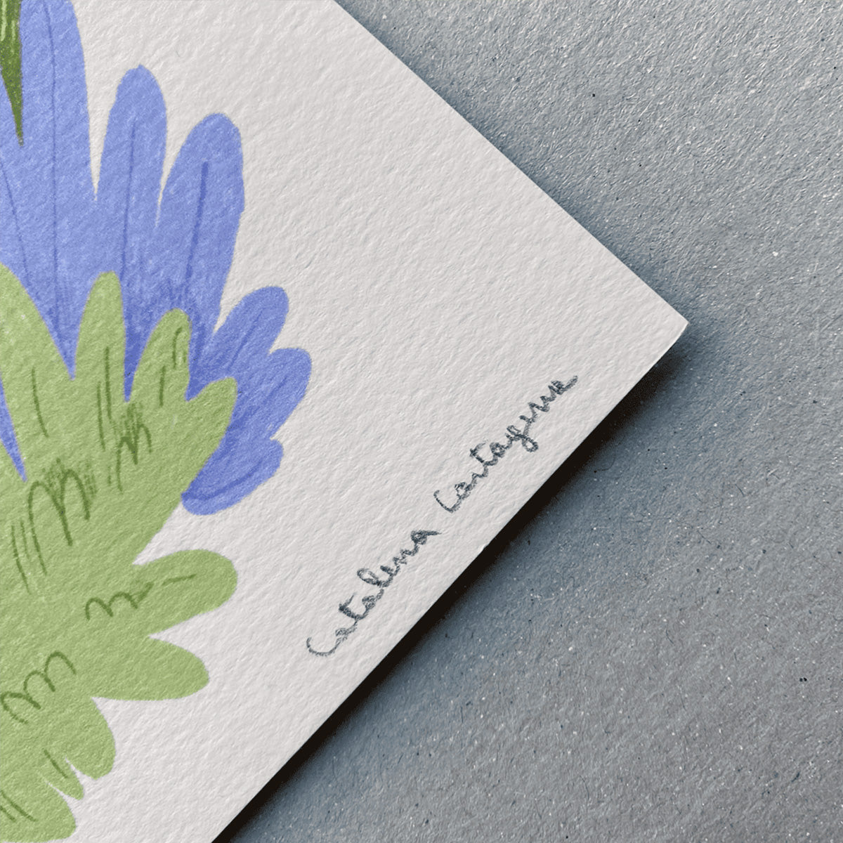 Fiesta de Cumpleaños Perruna