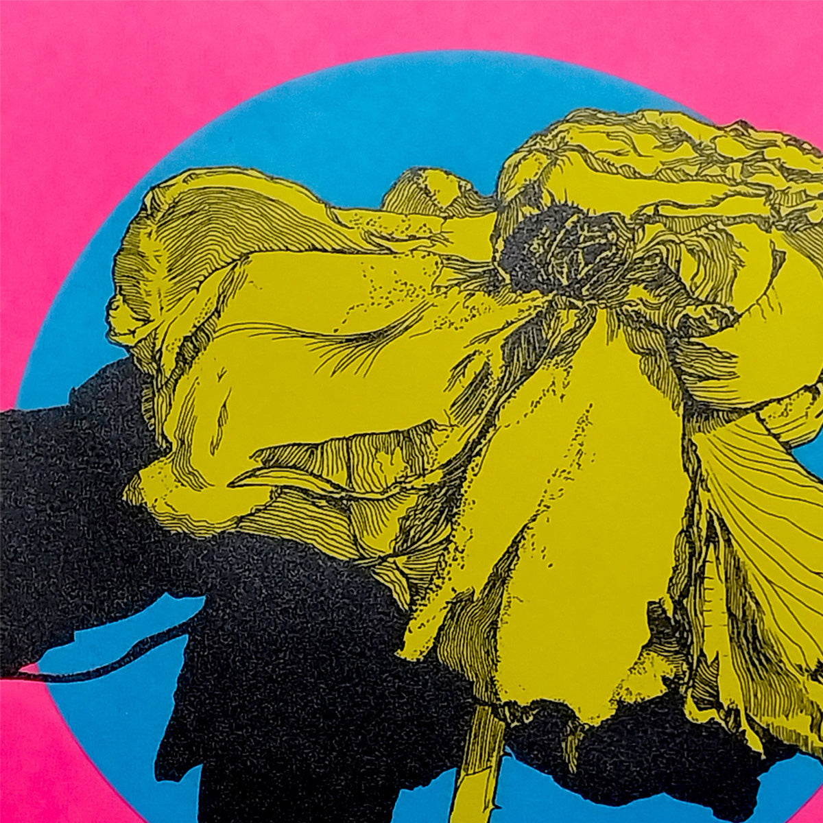 Flor CMYK