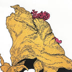 Flor Dorada 2