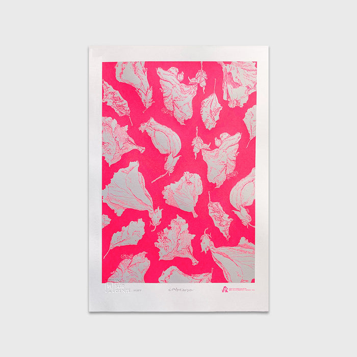 Flor Magenta