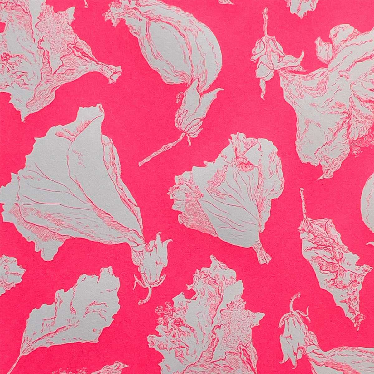 Flor Magenta