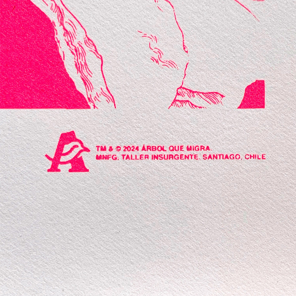 Flor Magenta