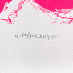 Flor Magenta