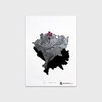 Flor Plata 2