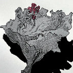 Flor Plata 2