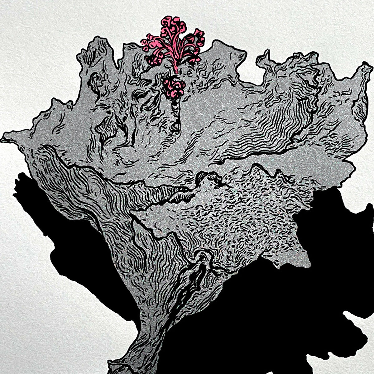 Flor Plata 2