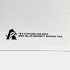 Flor Plata 2