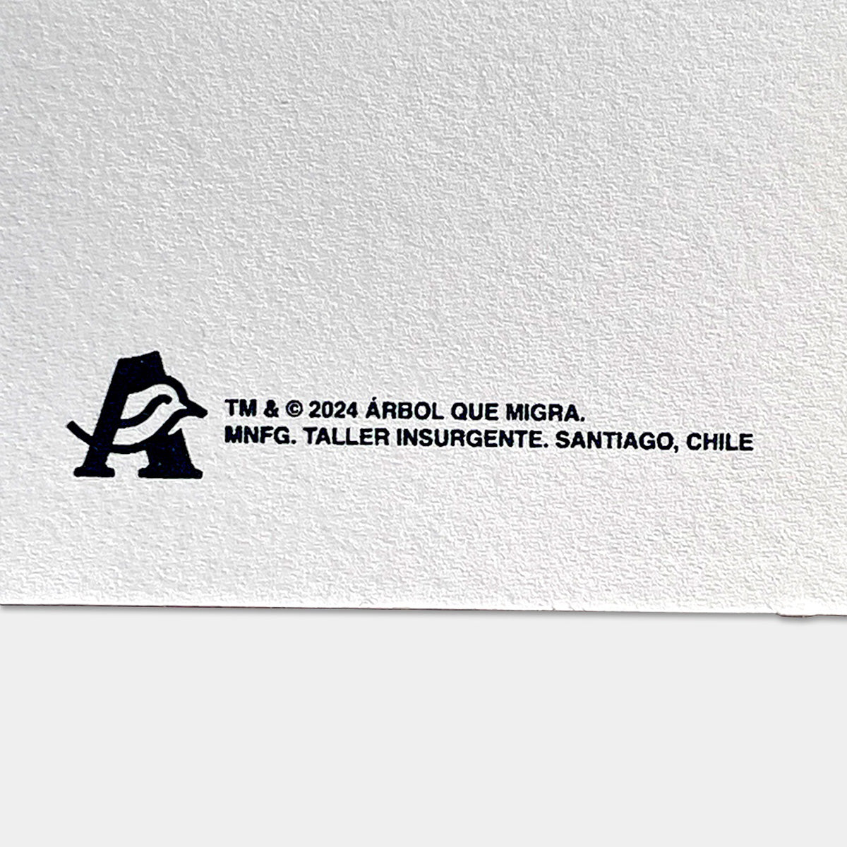 Flor Plata 2