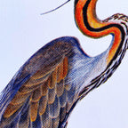 Garza Imperial