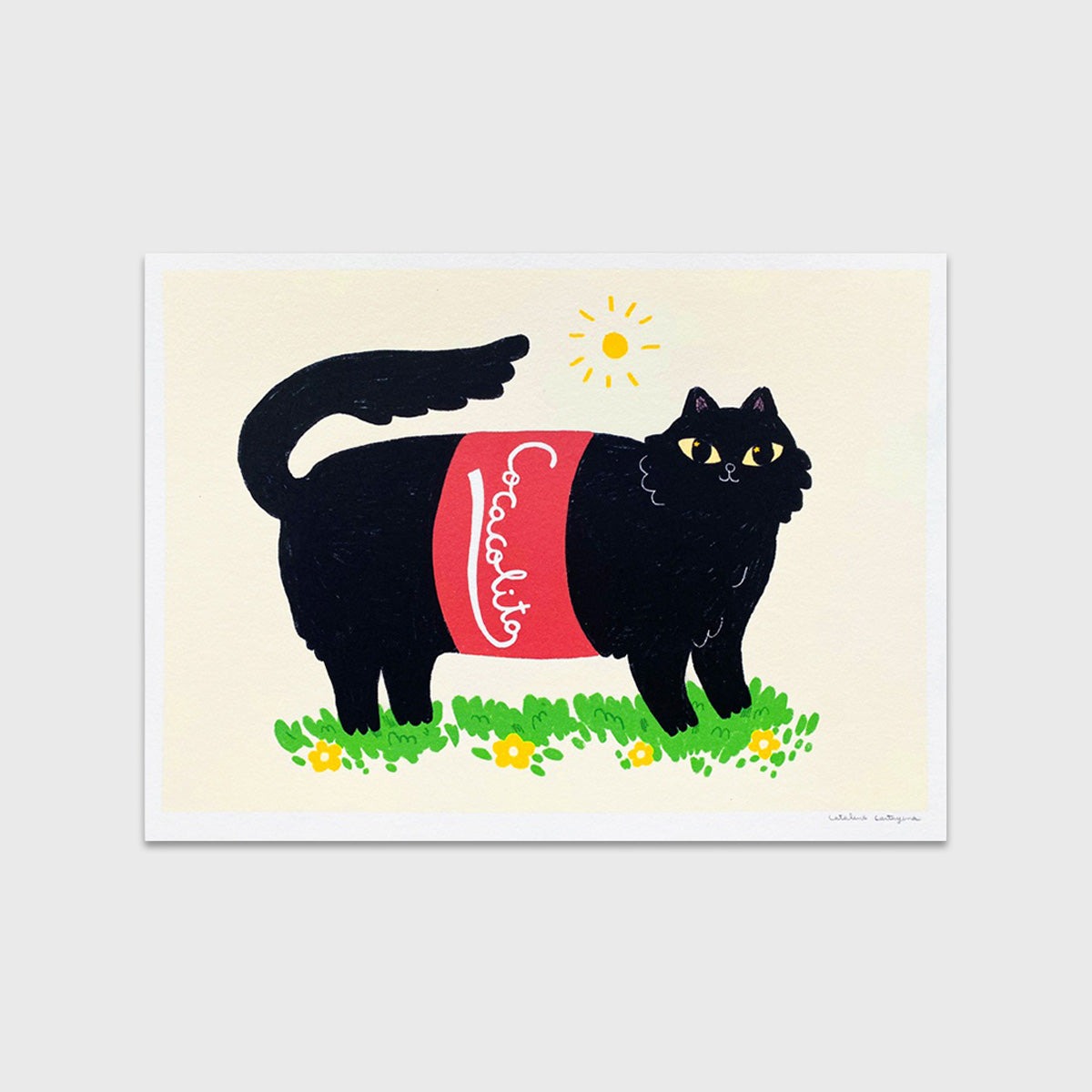 Gato cocacolita