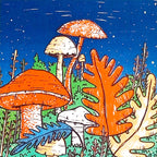 Hongos de noche