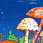 Hongos de noche