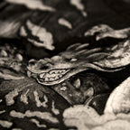 Lucha Contra Un Inocente