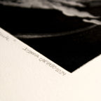 Lucha Contra Un Inocente