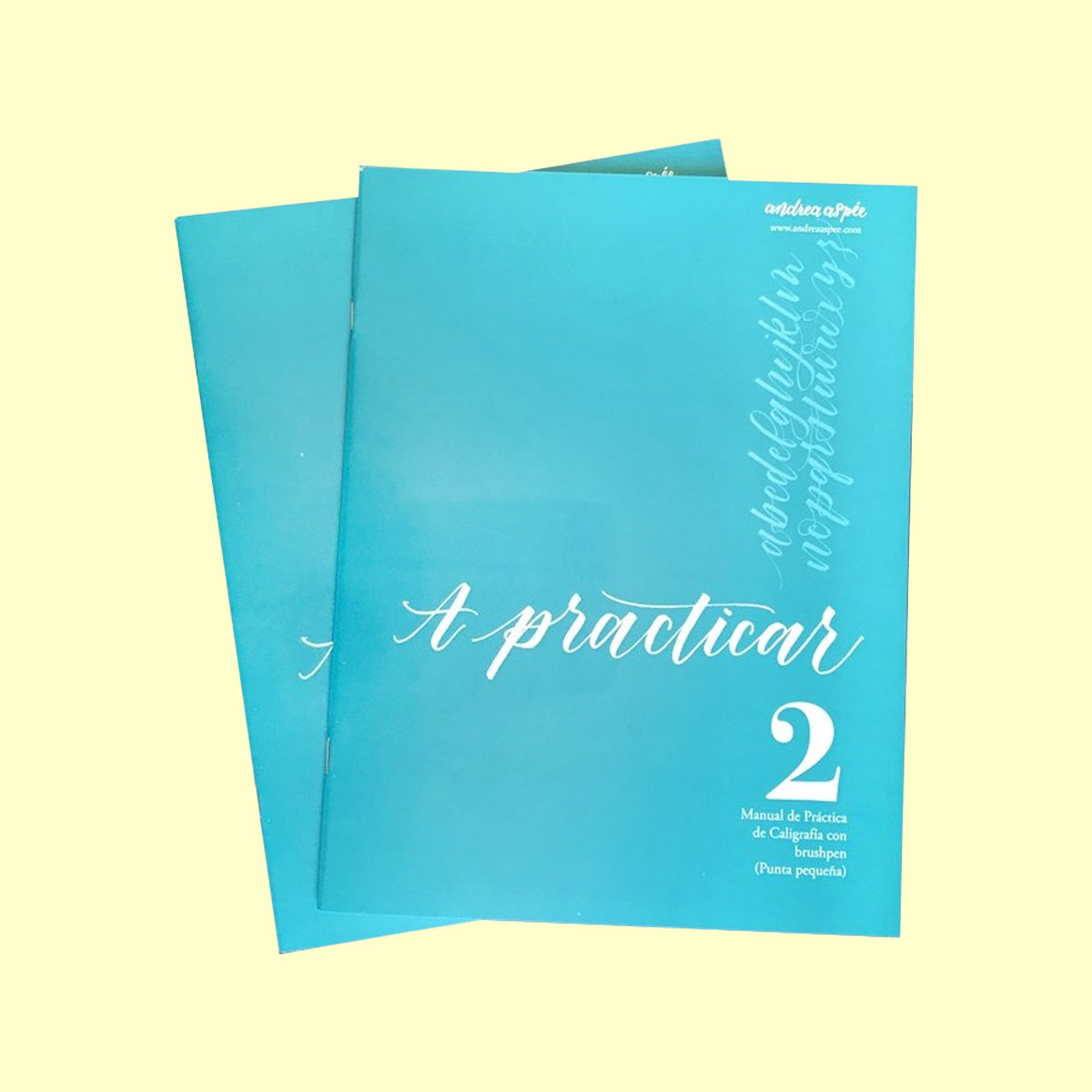 Manual de Caligrafía Moderna