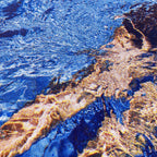 Mujeres Nadando II / Fitzroy Swimming Pool