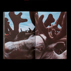 Optimismo Del Tiempo