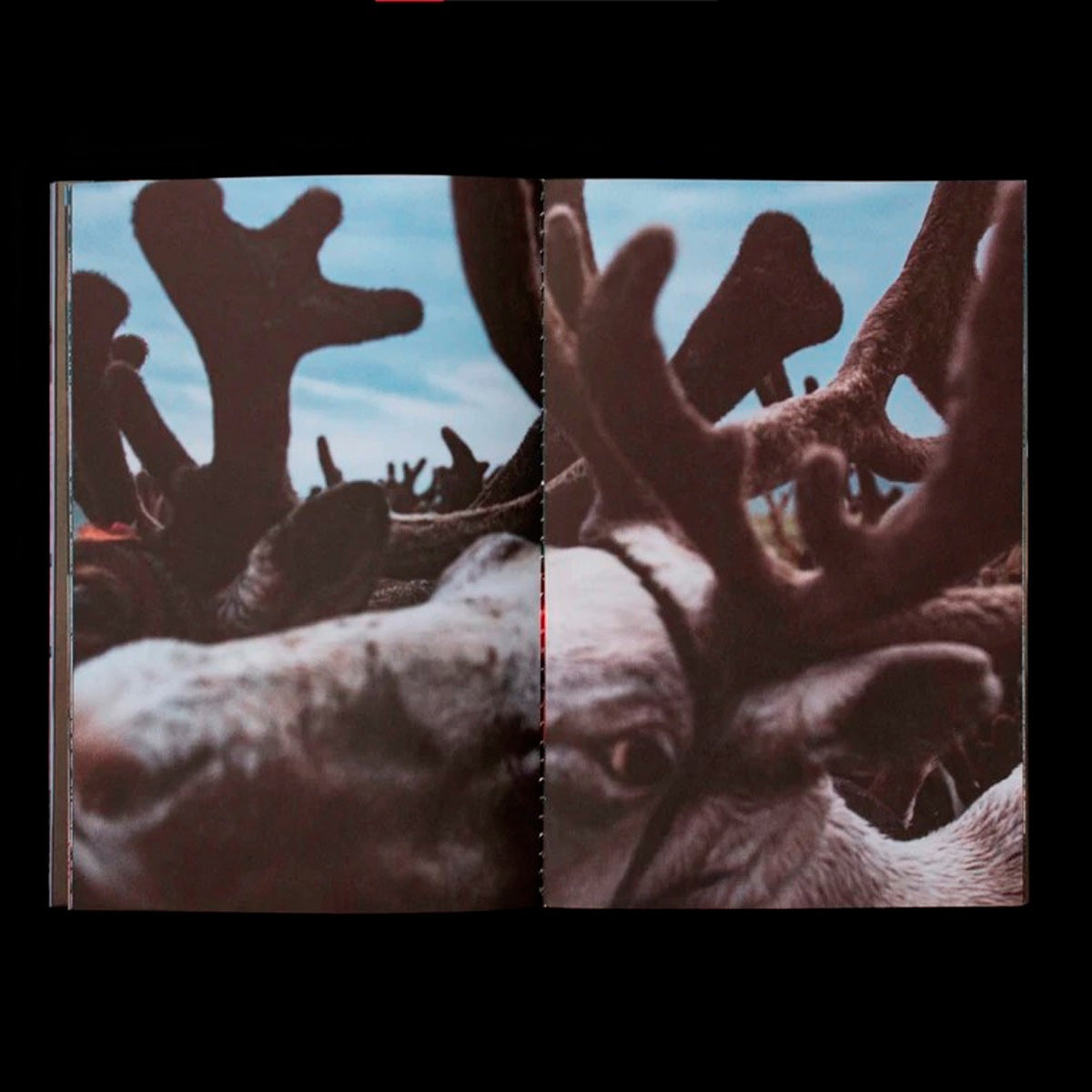 Optimismo Del Tiempo