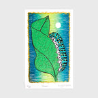 Oruga