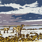 Pedernales Chañaral