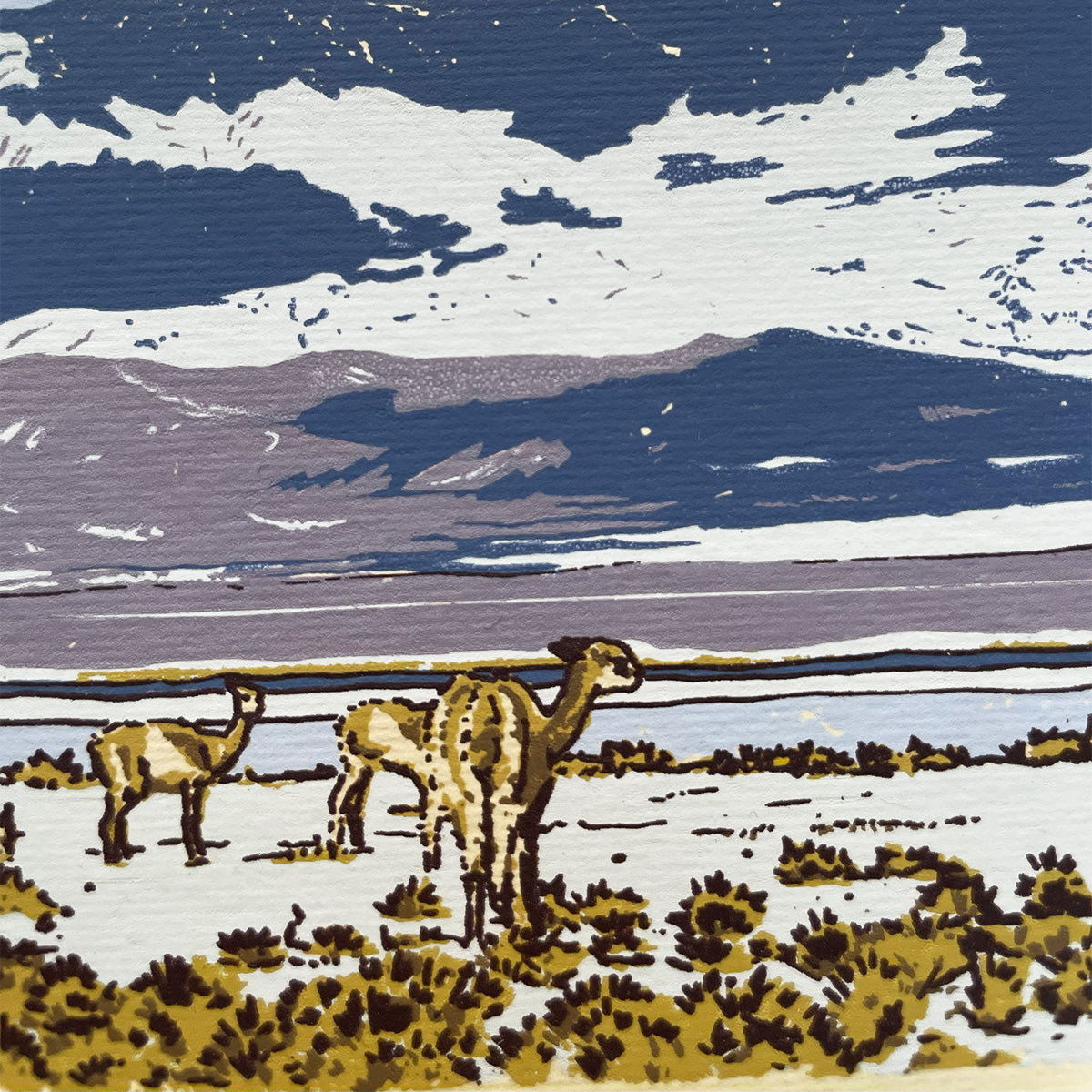 Pedernales Chañaral