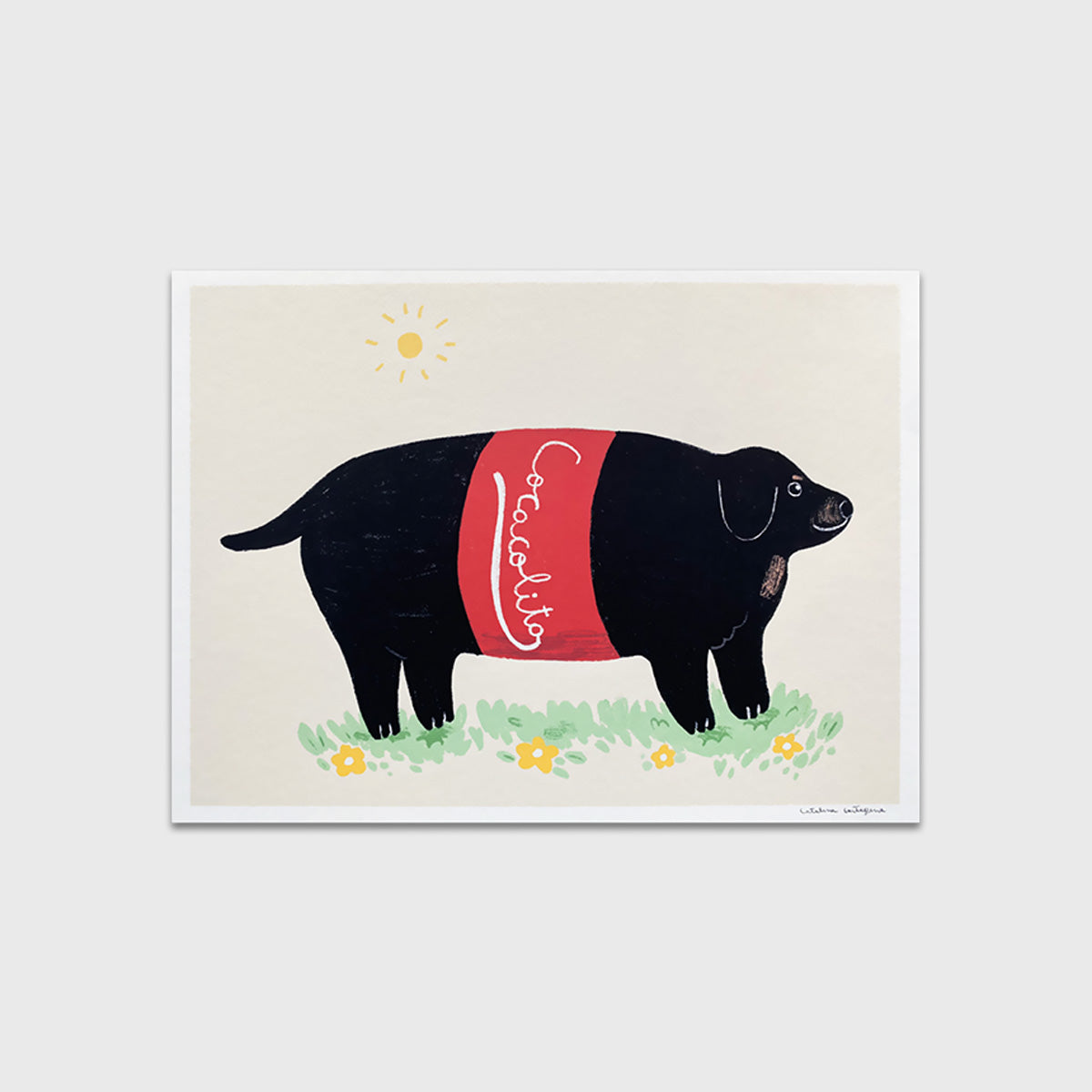 Perrito cocacolita
