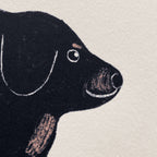 Perrito cocacolita