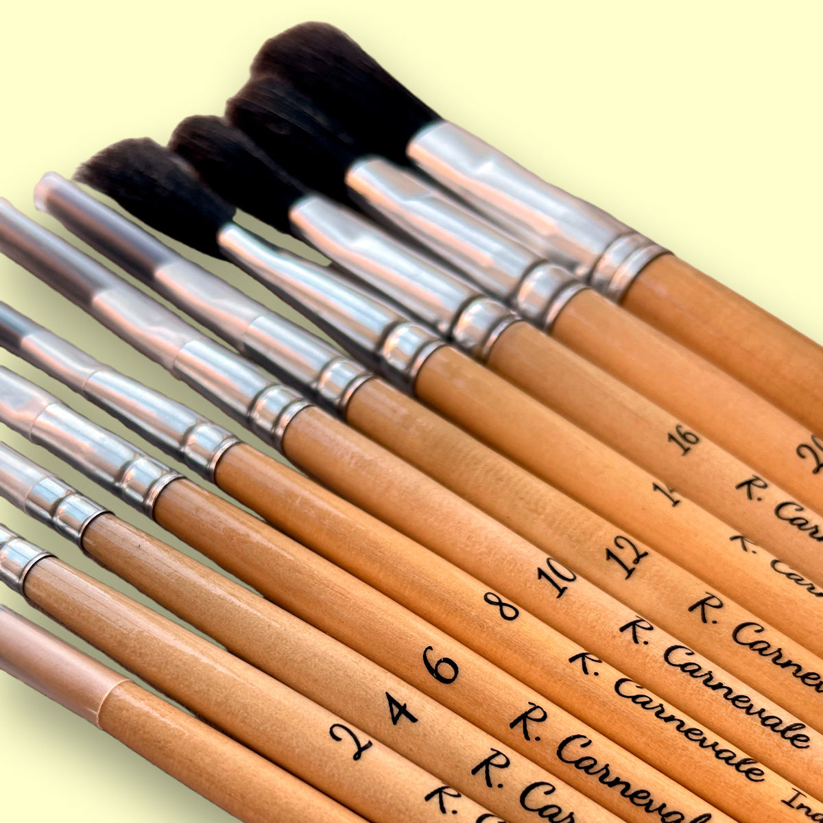 Pincel Corto y Chato