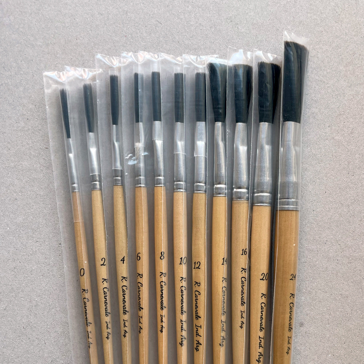 Pincel Corto y Chato