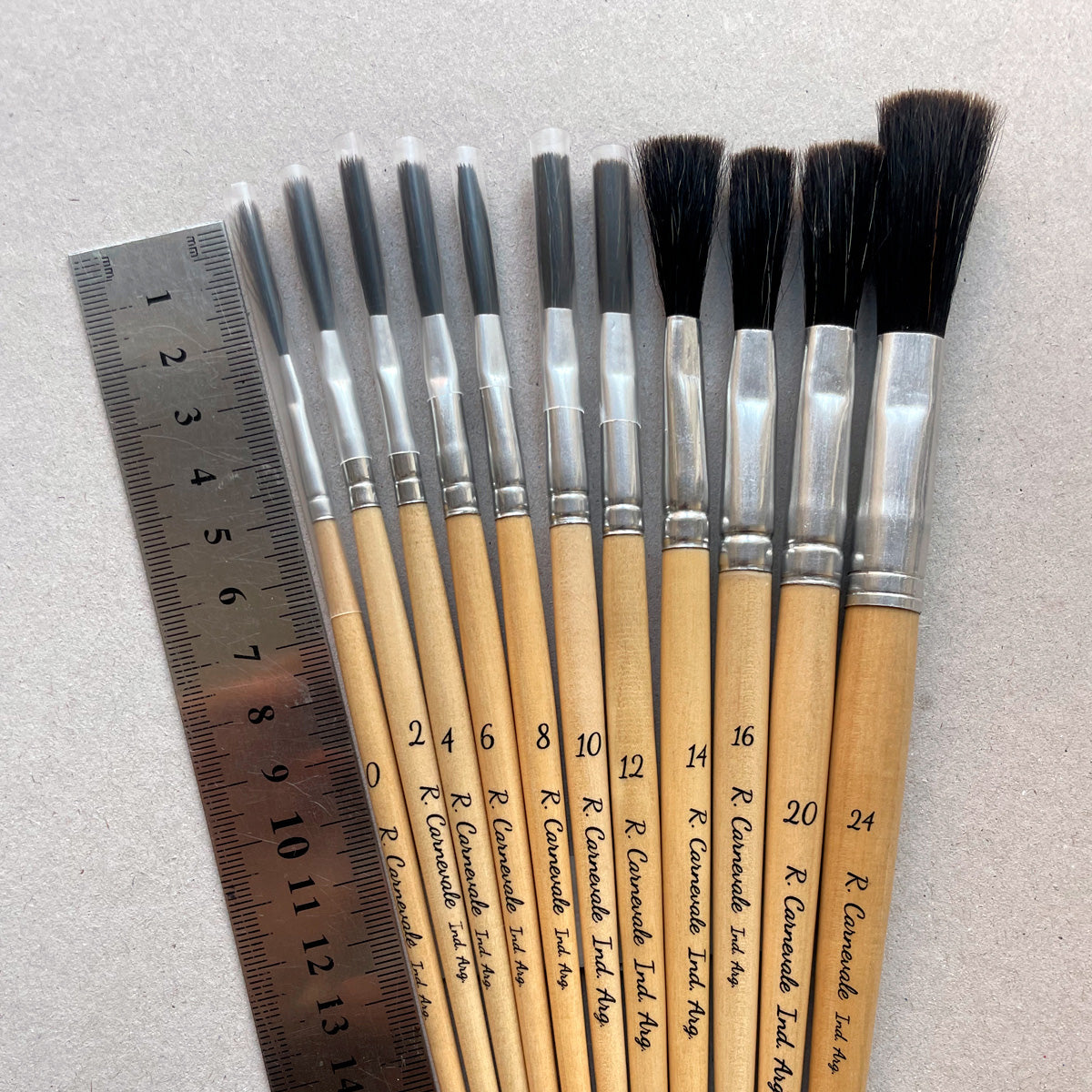 Pincel Corto y Chato