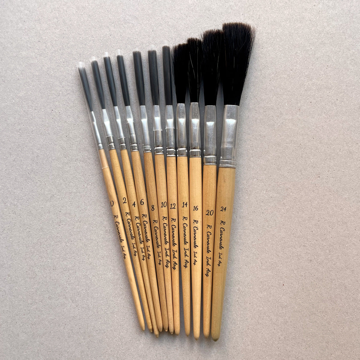 Pincel Largo y Chato