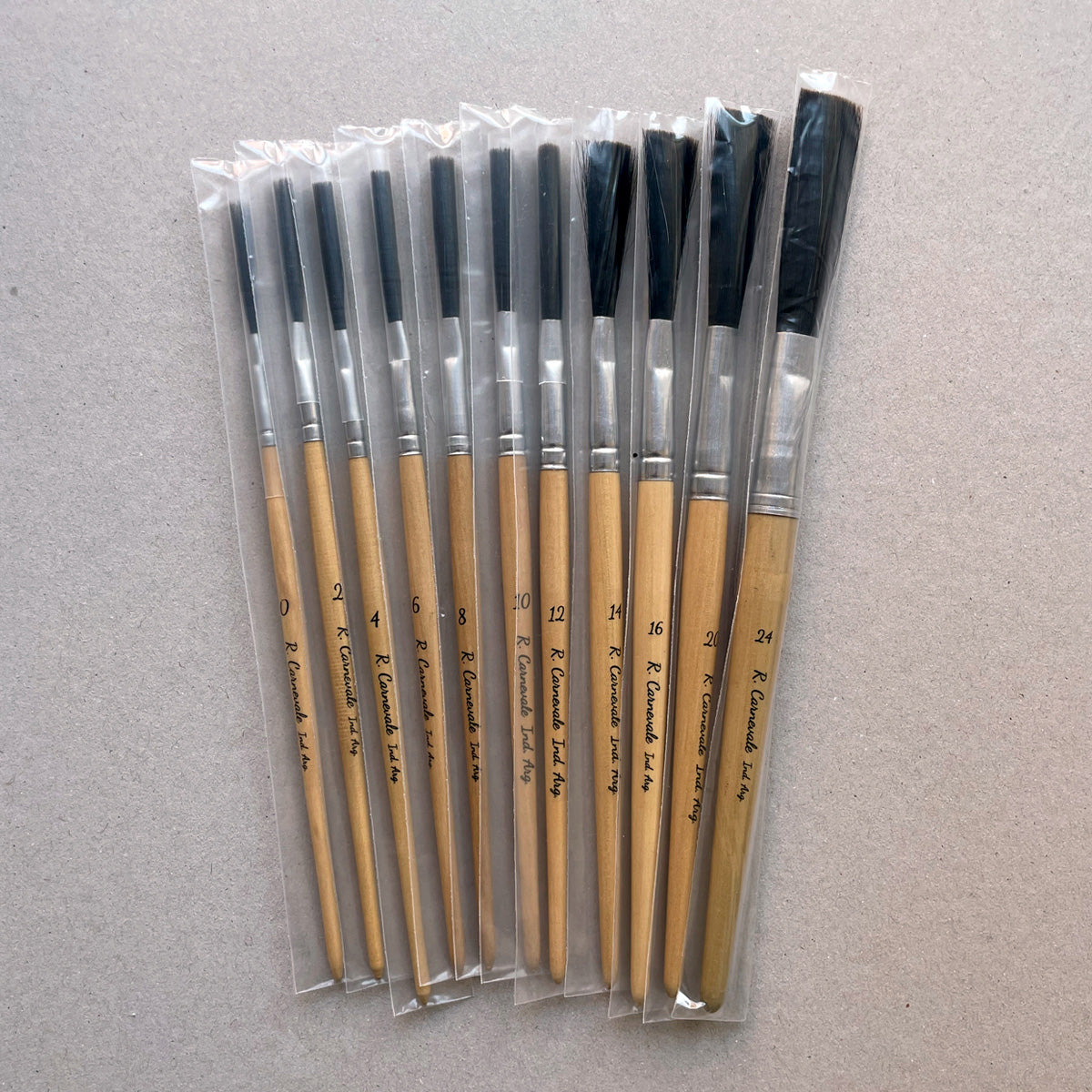 Pincel Largo y Chato