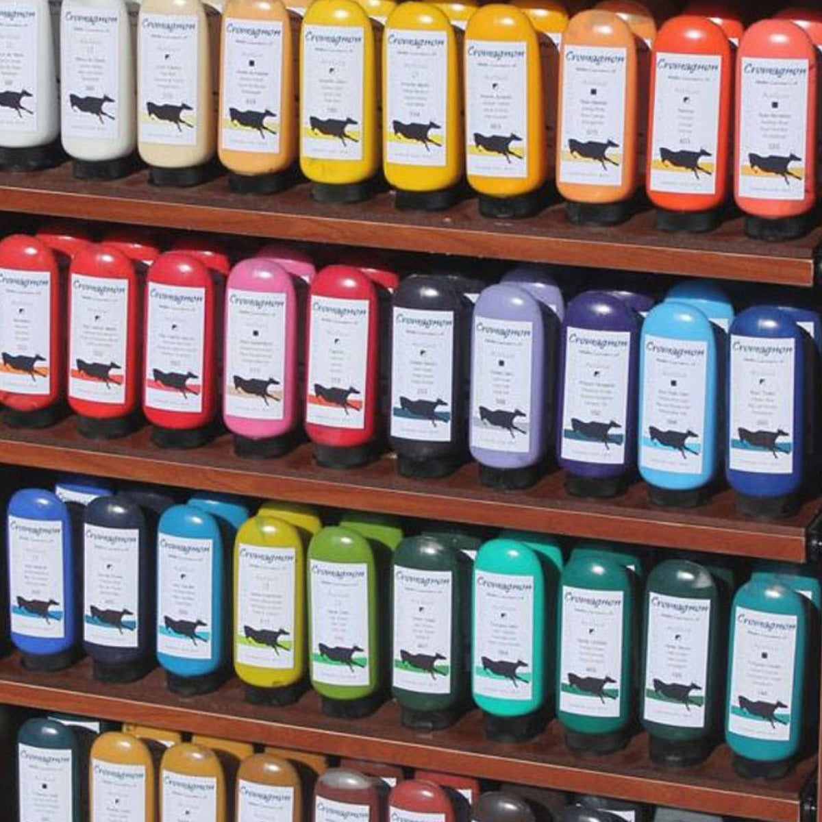 Pintura Acrílica 100 ml