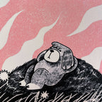 Pink&White (Perro mirando al cielo)
