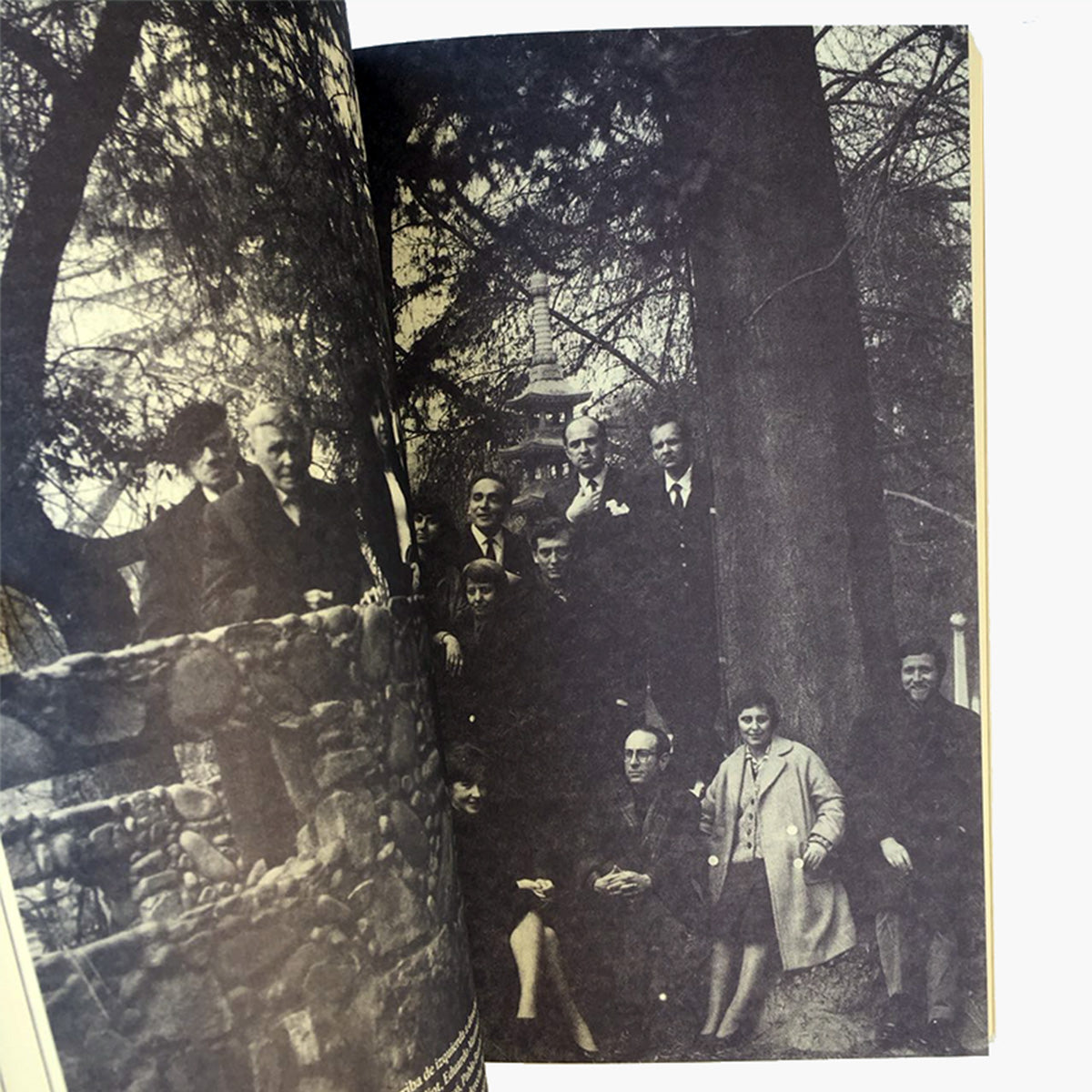 Un Tiempo Sin Fisuras. La Institución Moderna Del Arte En Chile (1947–1968)