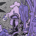 Visualiza el Colapso