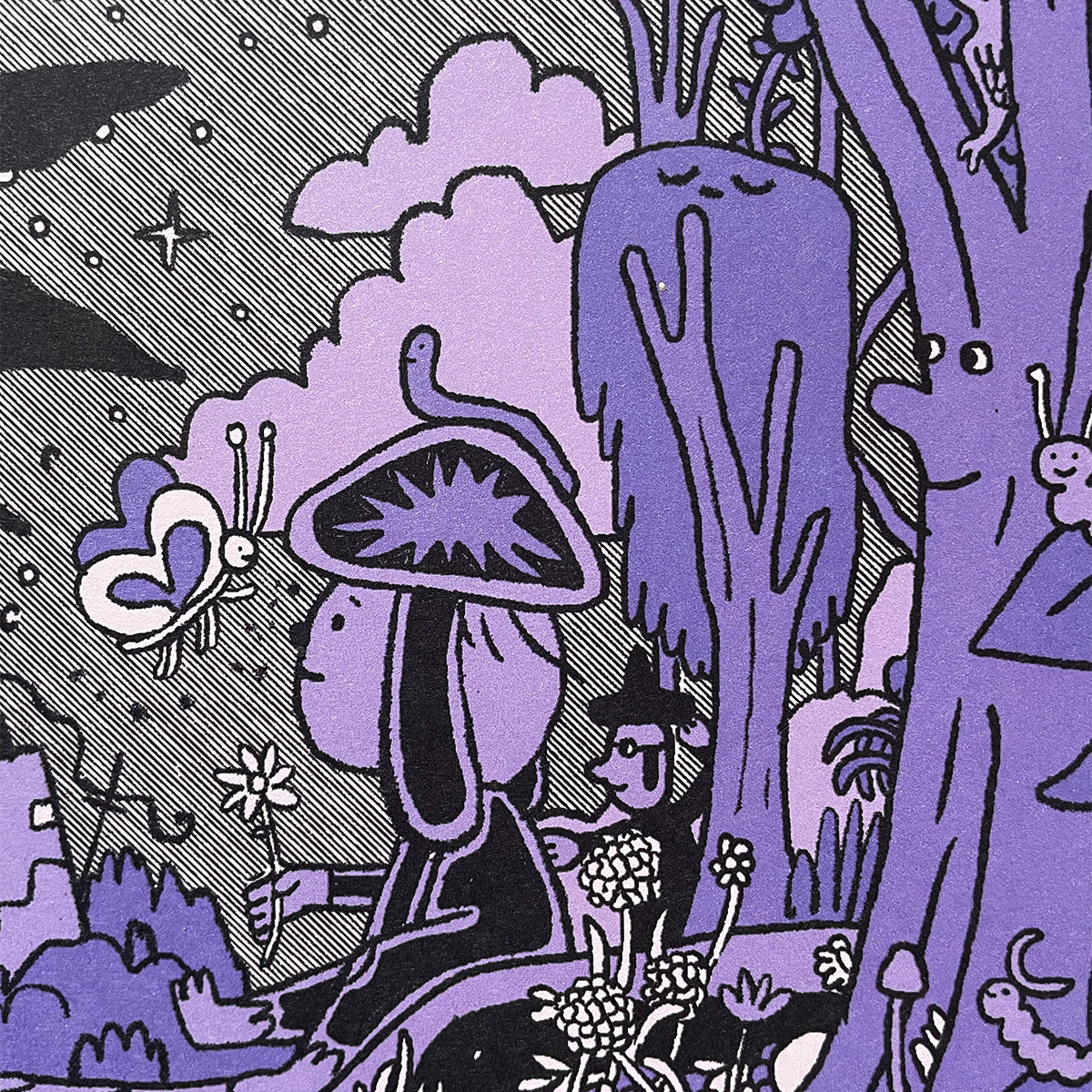 Visualiza el Colapso